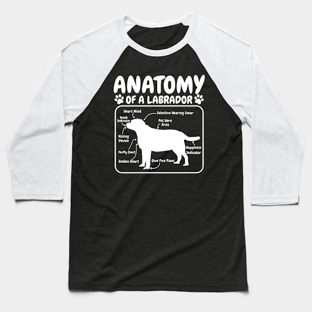 Labrador Dog Anatomy Baseball T-Shirt by CreativeGiftShop